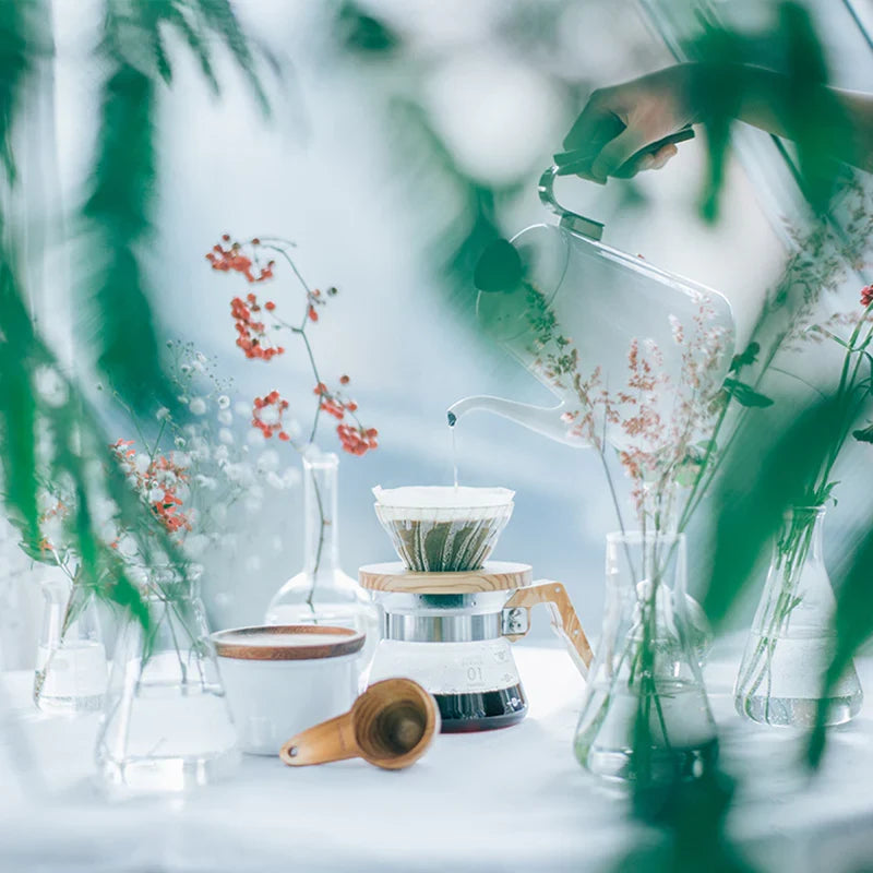 HARIO V60-02 Stakleni driper
