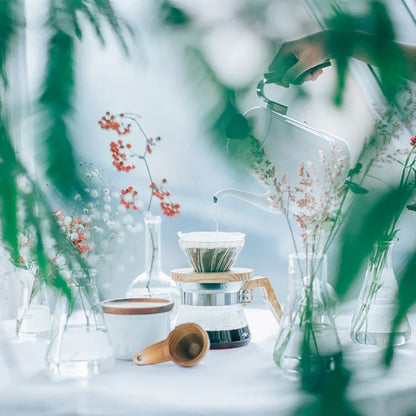 HARIO V60-02 Stakleni driper